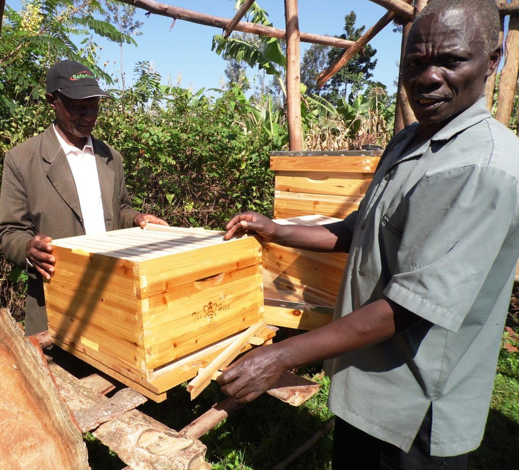 BeehiveEzekiel Ndege.NyangaresiNyamiraBoriobaLaban.JPG